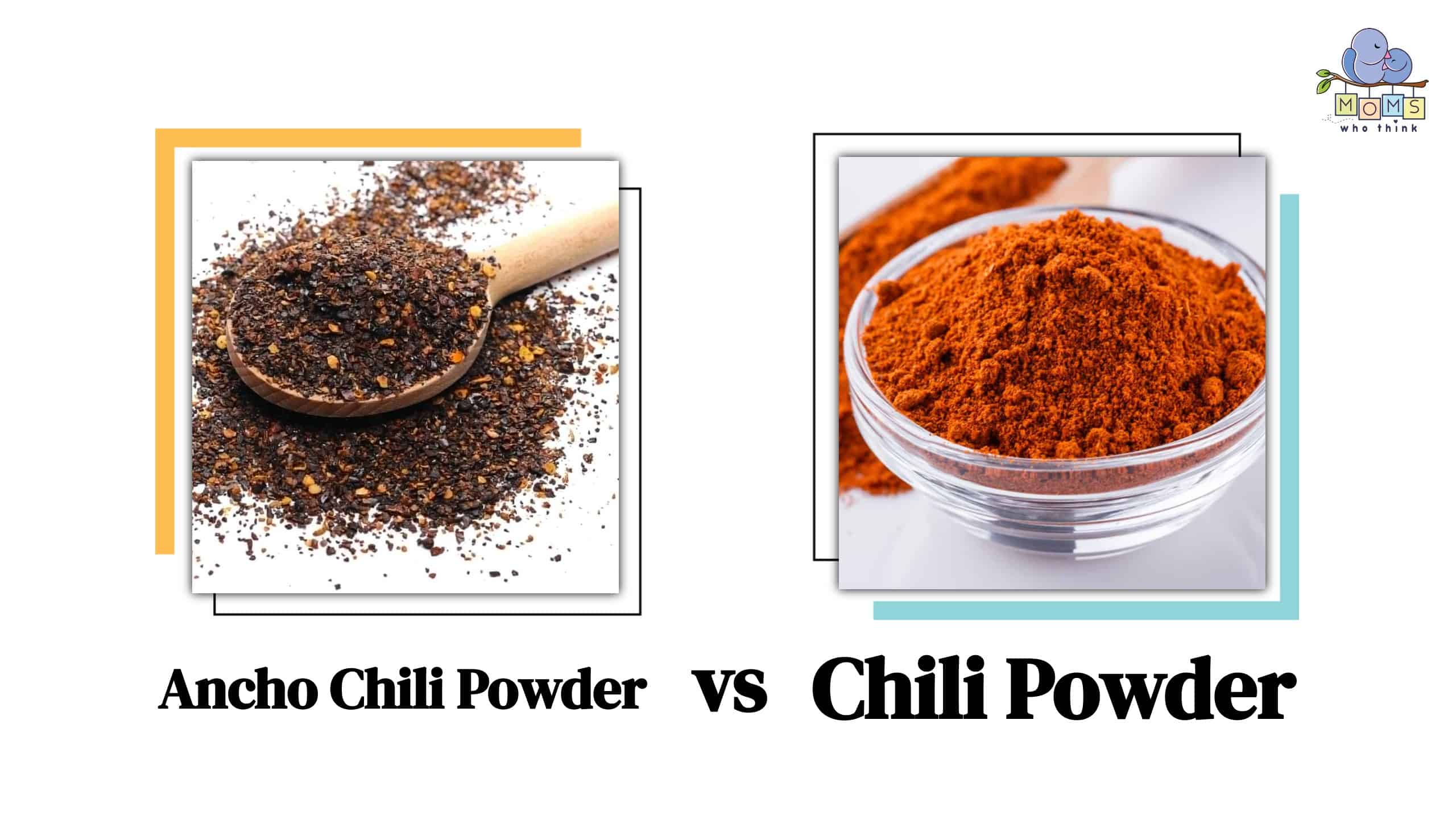 Ancho Chili Powder vs Chili Powder Comparison