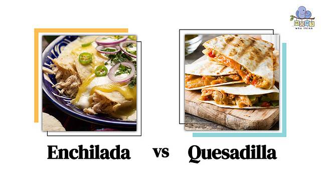 Enchilada vs Quesadilla