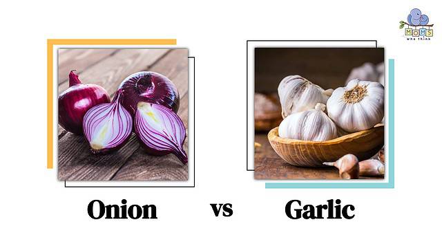 Onion vs Garlic