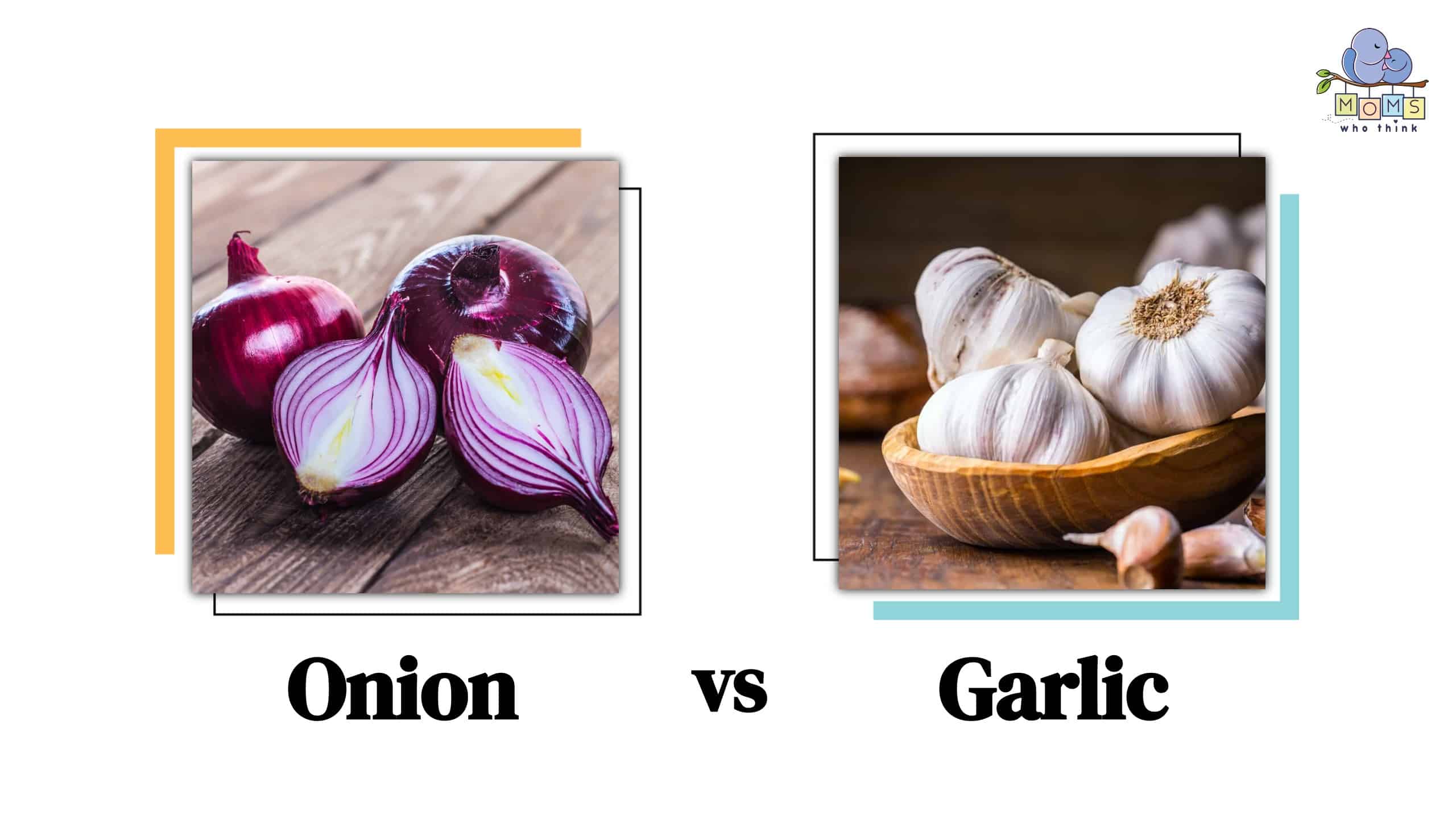 Onion vs Garlic