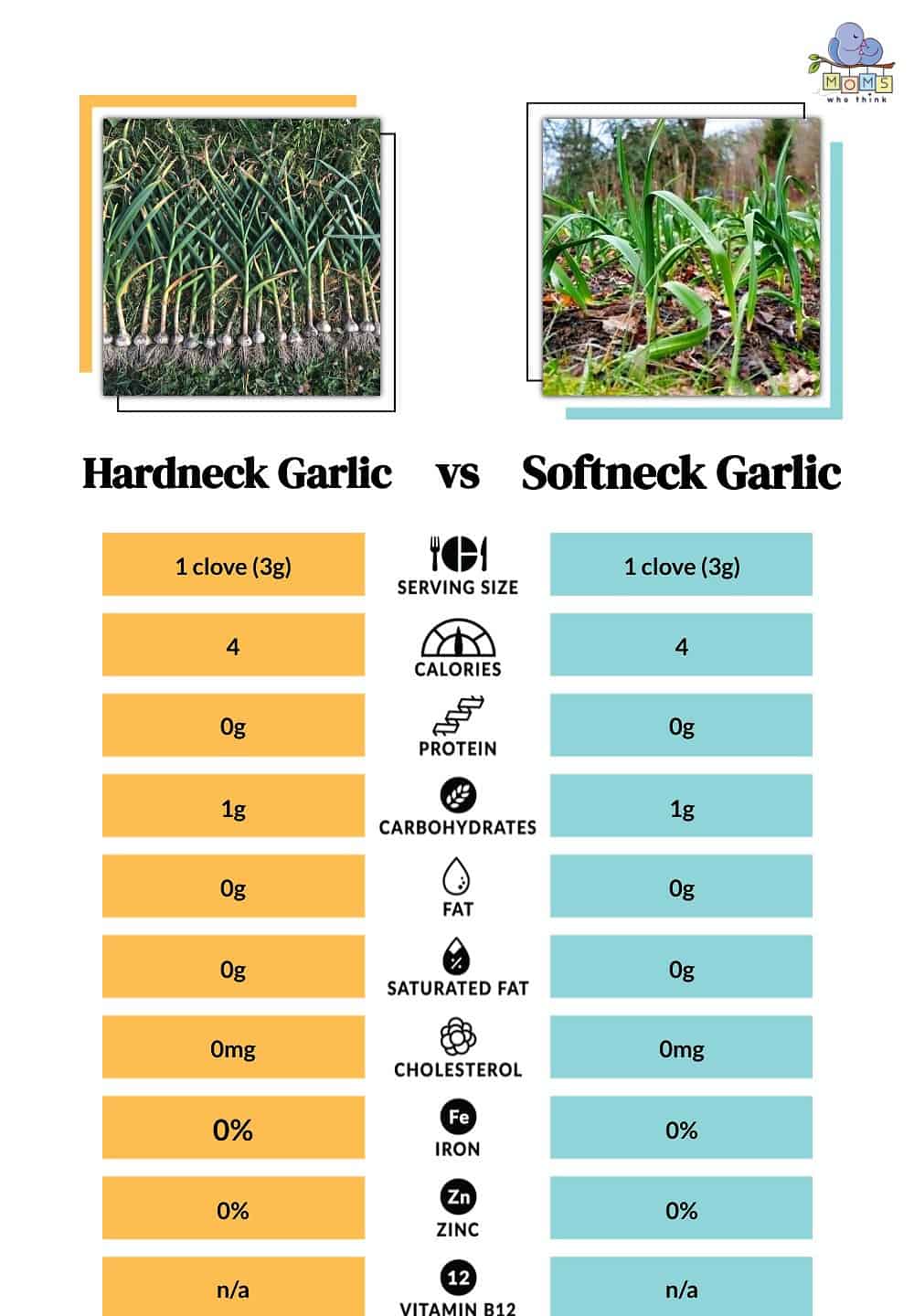 Hardneck Garlic vs Softneck Garlic Nutritional Facts
