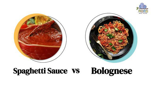 Spaghetti Sauce vs Bolognese