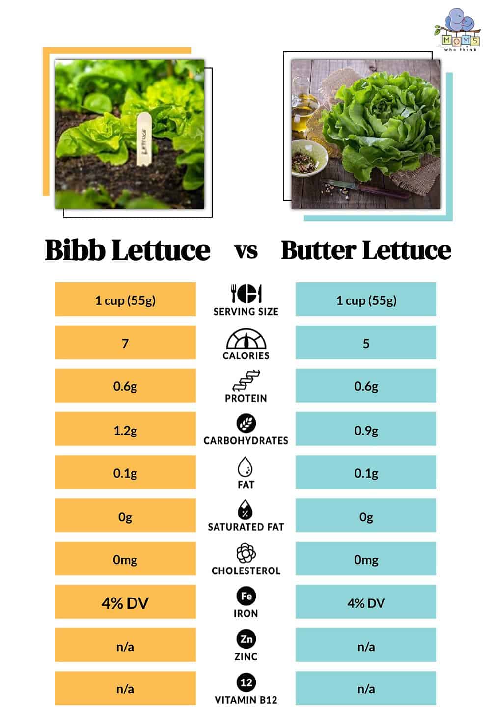 Bibb Lettuce vs Butter Lettuce Nutritional Facts