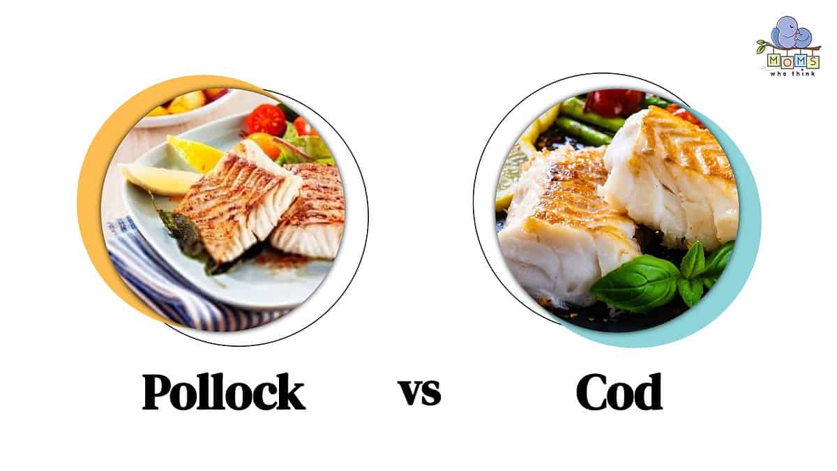 Pollock vs Cod