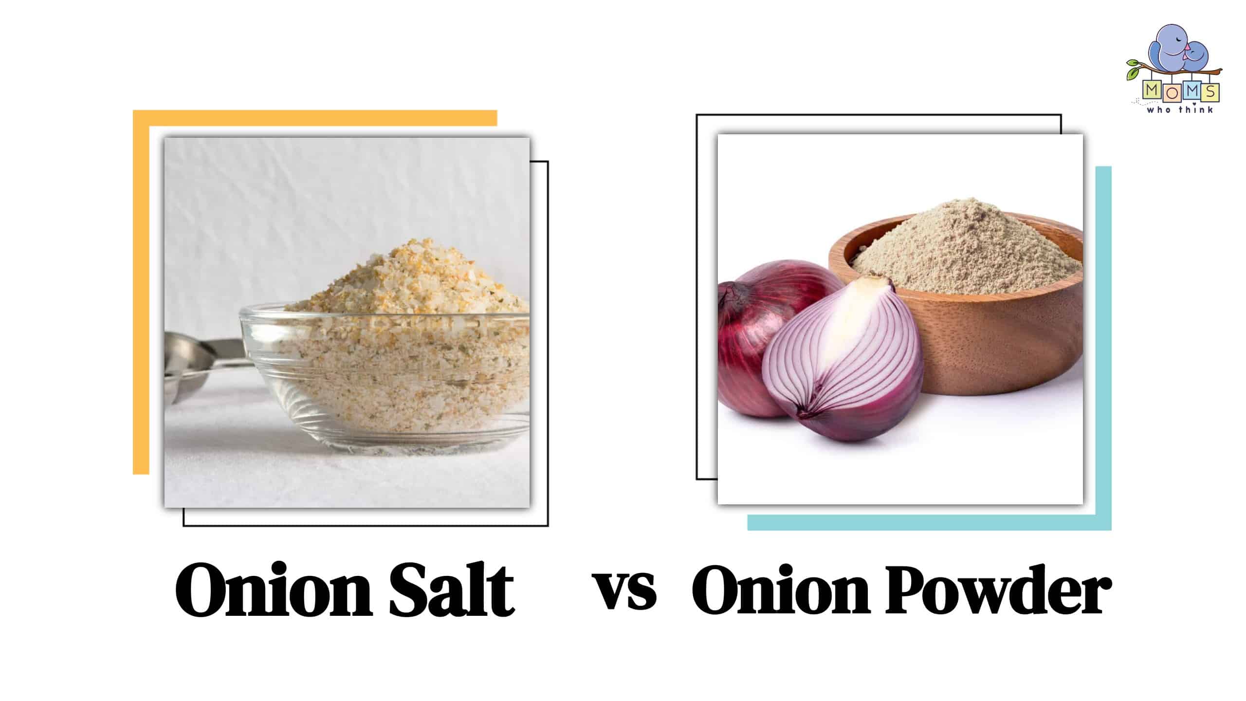 Onion Salt vs Onion Powder
