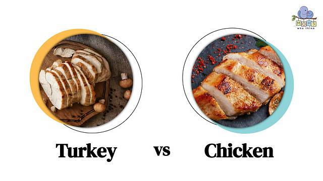 Turkey vs Chicken