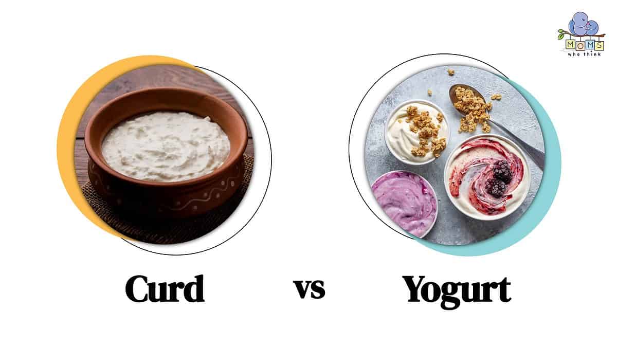 Curd vs Yogurt Comparison