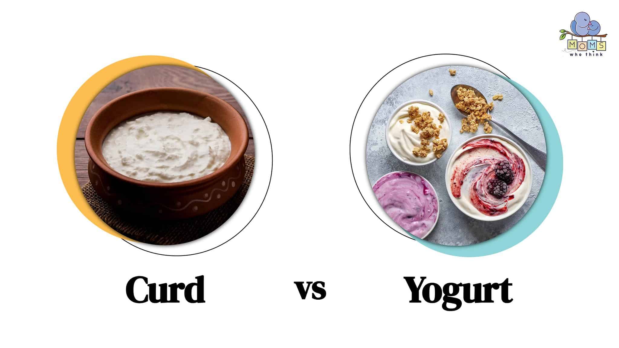 Which Dairy Base To Use Curd vs. Yogurt