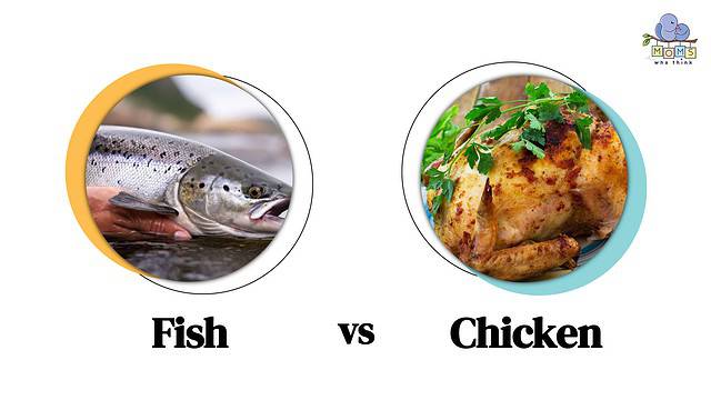 Fish vs Chicken