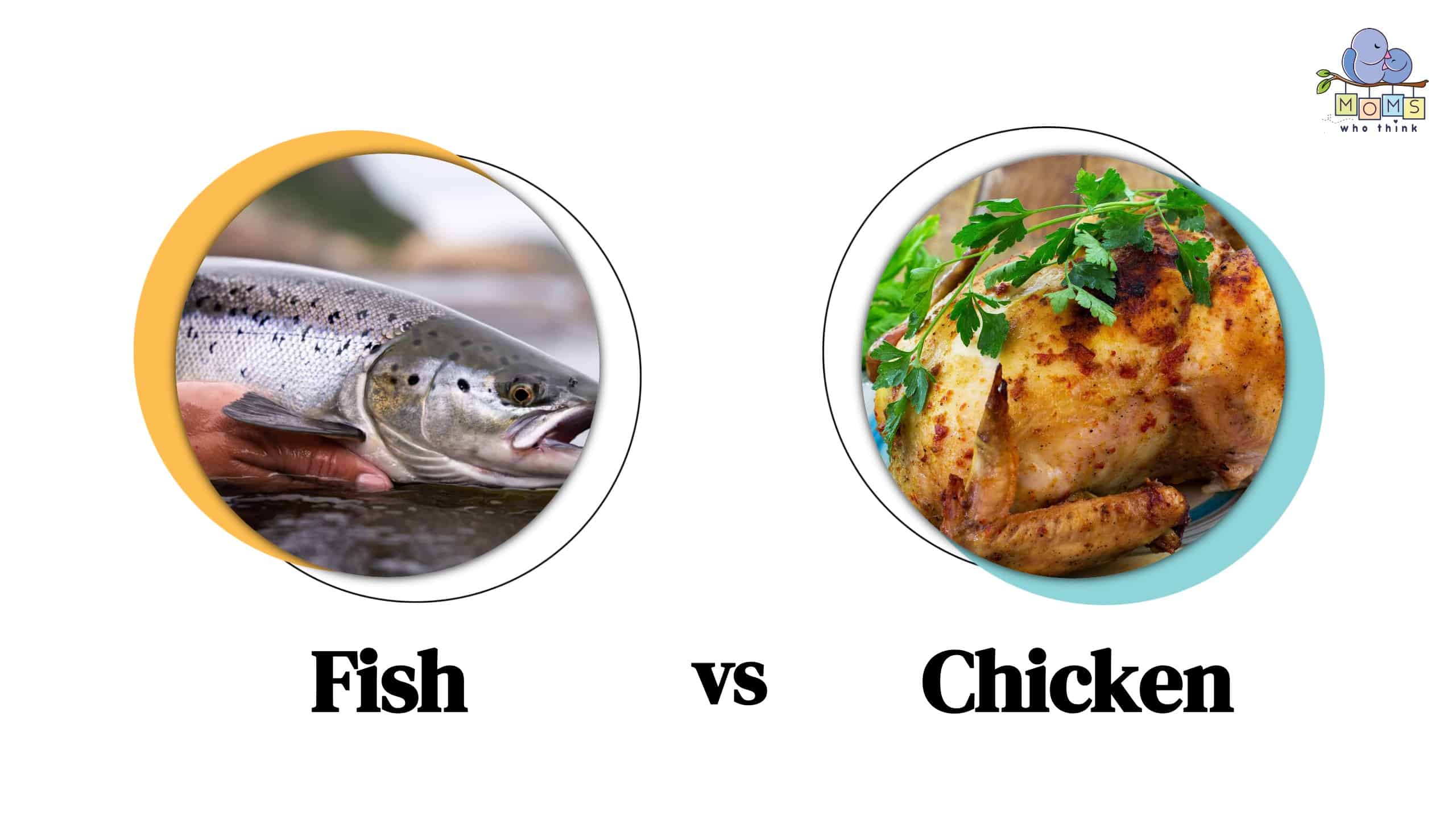 Fish vs Chicken