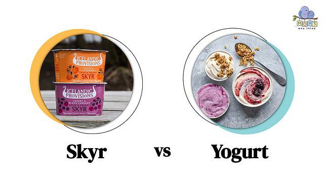 Skyr vs Yogurt Differences