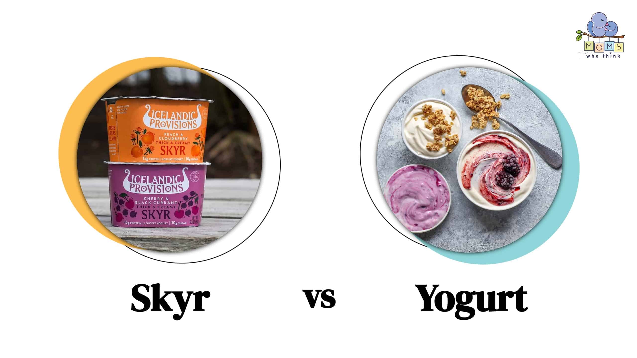 Skyr vs Yogurt Differences