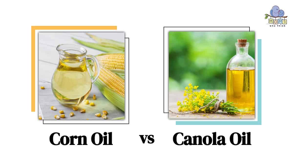 Corn Oil vs Canola Oil Differences