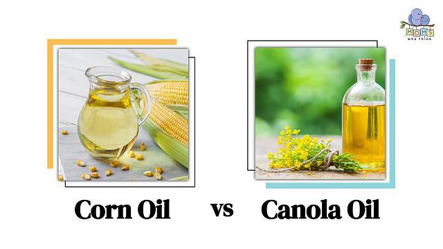 Corn Oil vs Canola Oil Differences