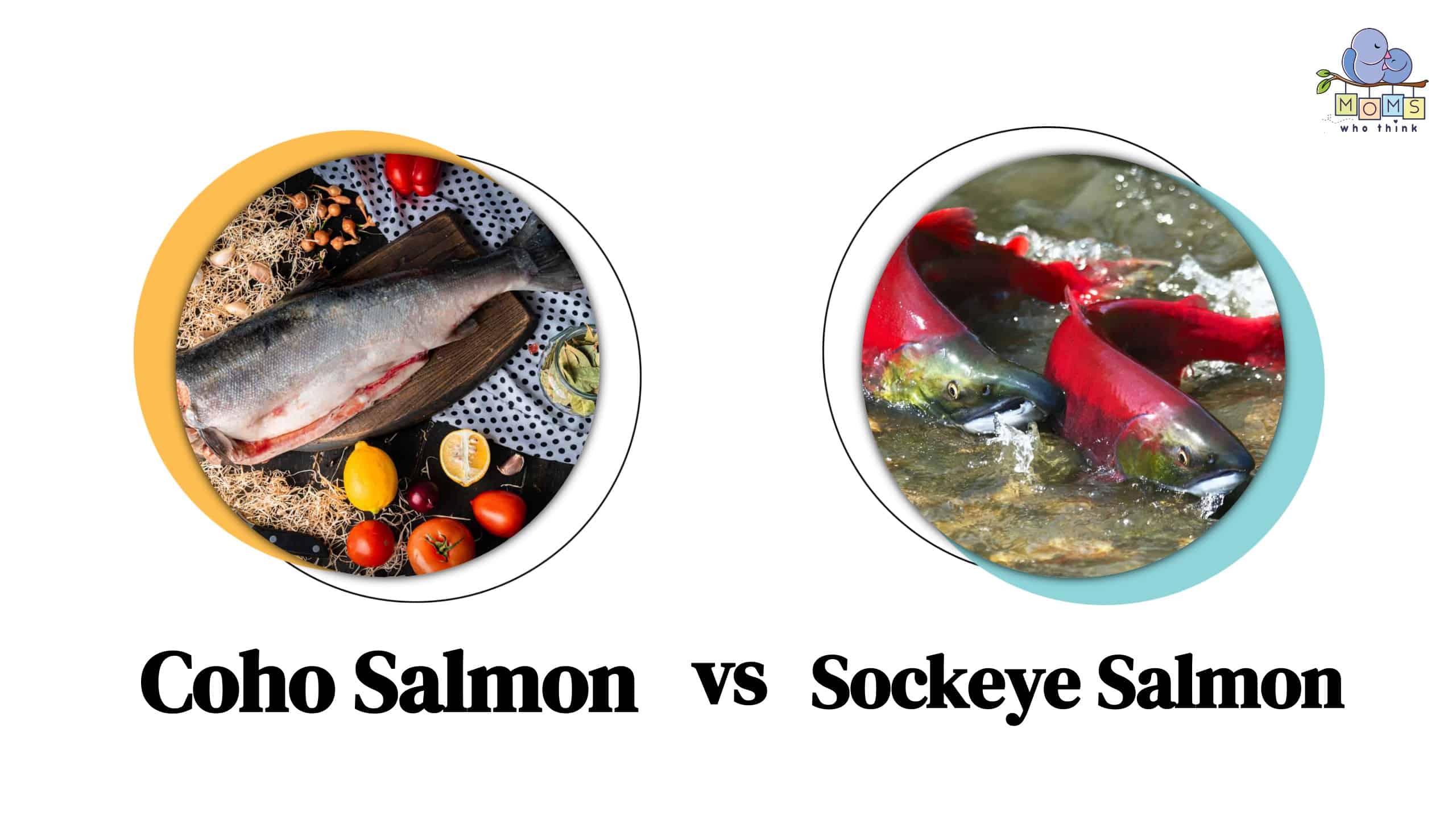 Coho Salmon vs Sockeye Salmon