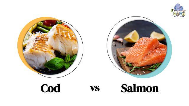 Cod vs Salmon