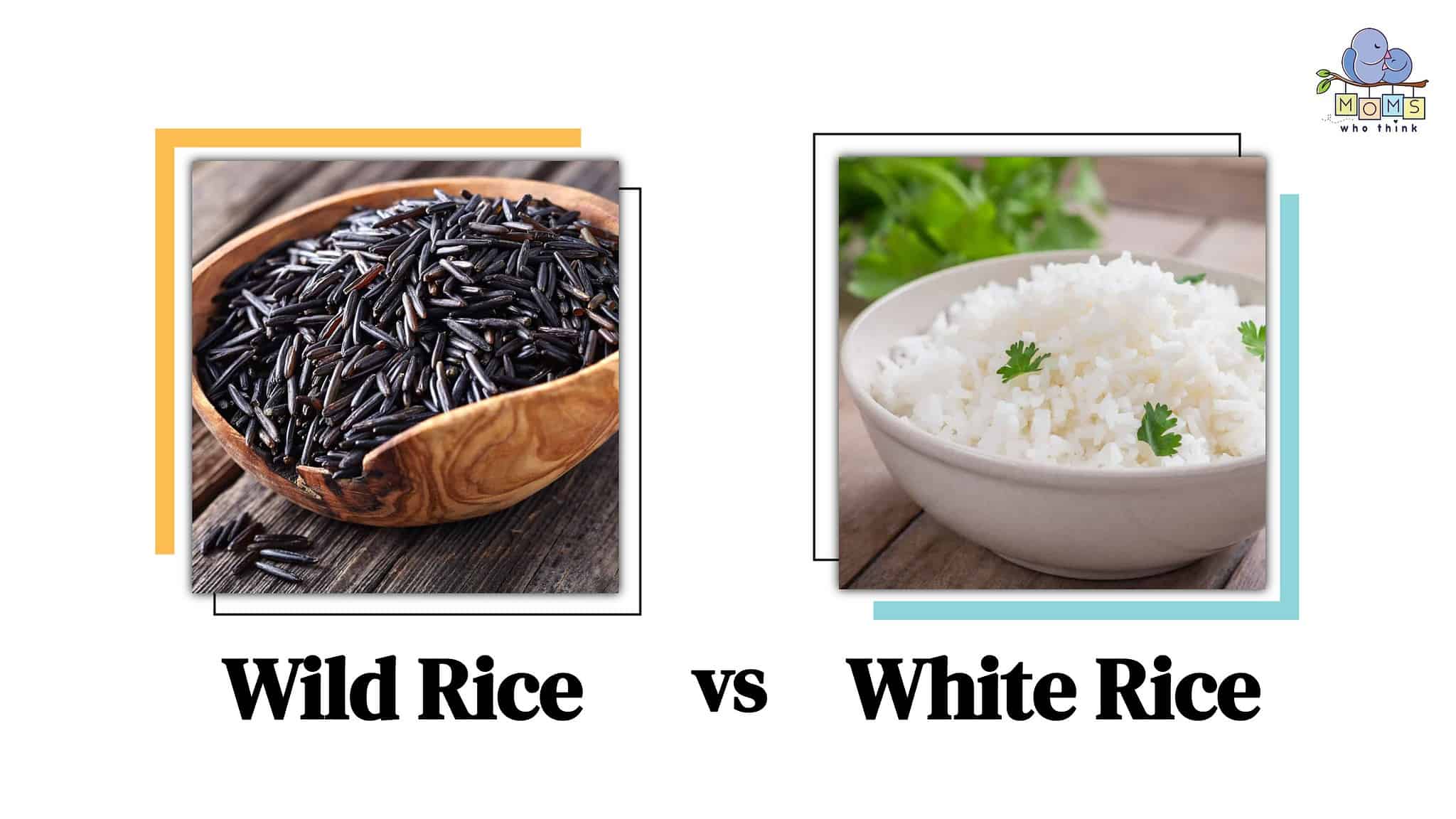Wild Rice vs. White Rice Key Differences