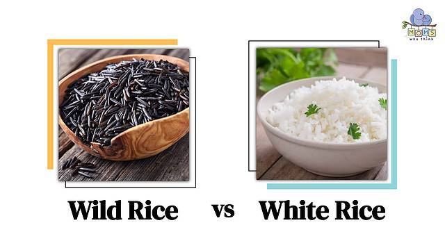 Wild Rice vs White Rice