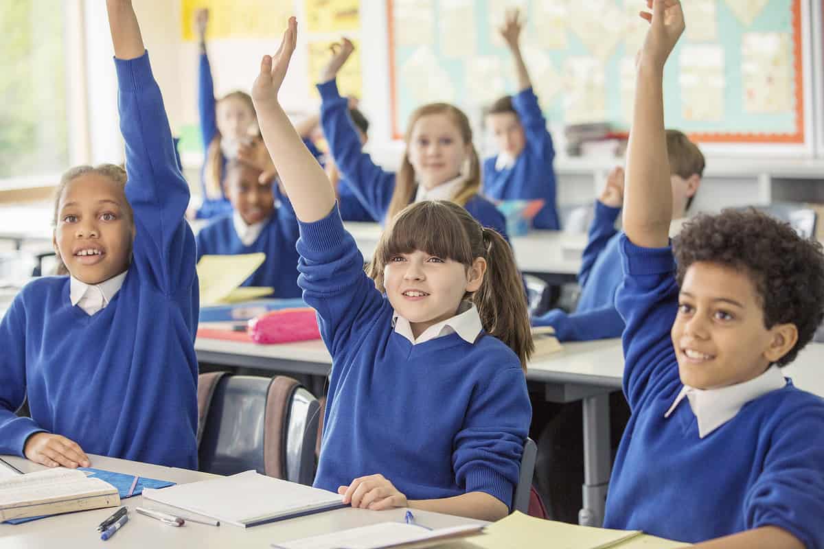 A group of students in a class raising their hands actively participating.