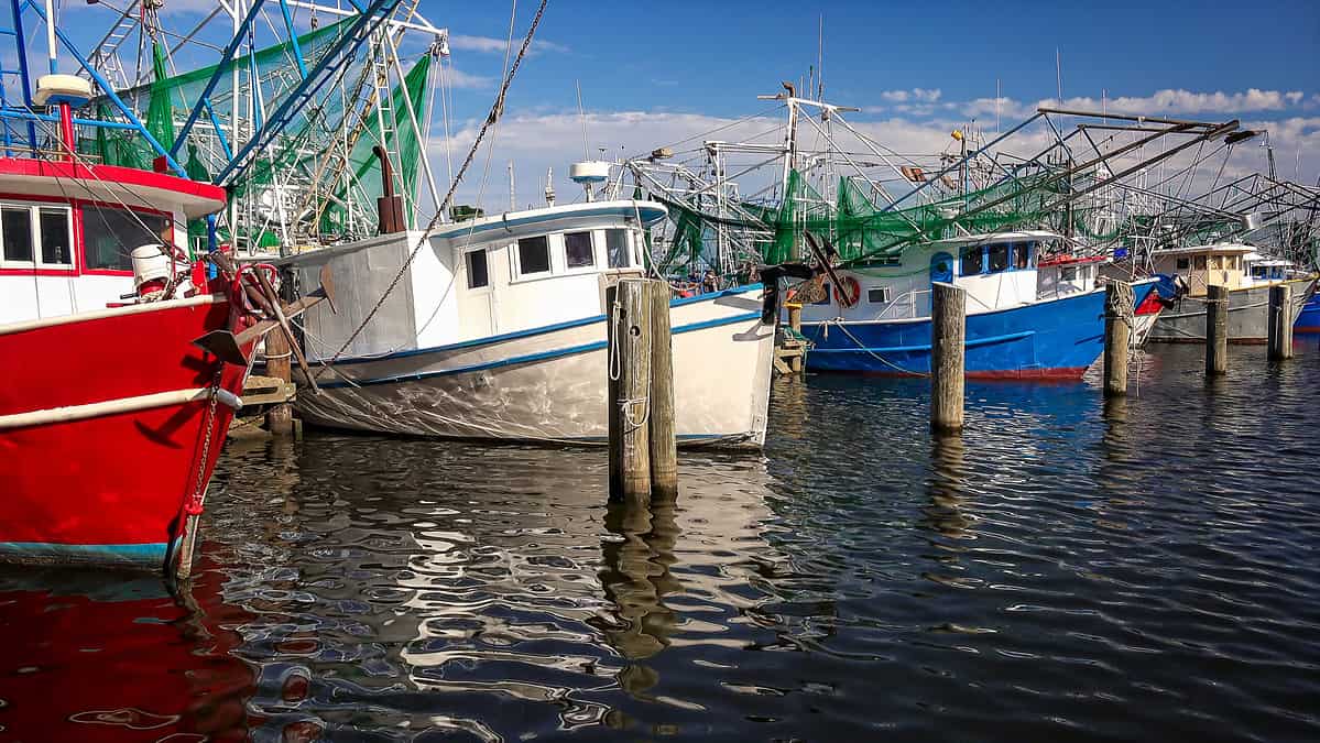 Colorful shrimp fishing boats docked in harbor at Biloxi, Mississippi