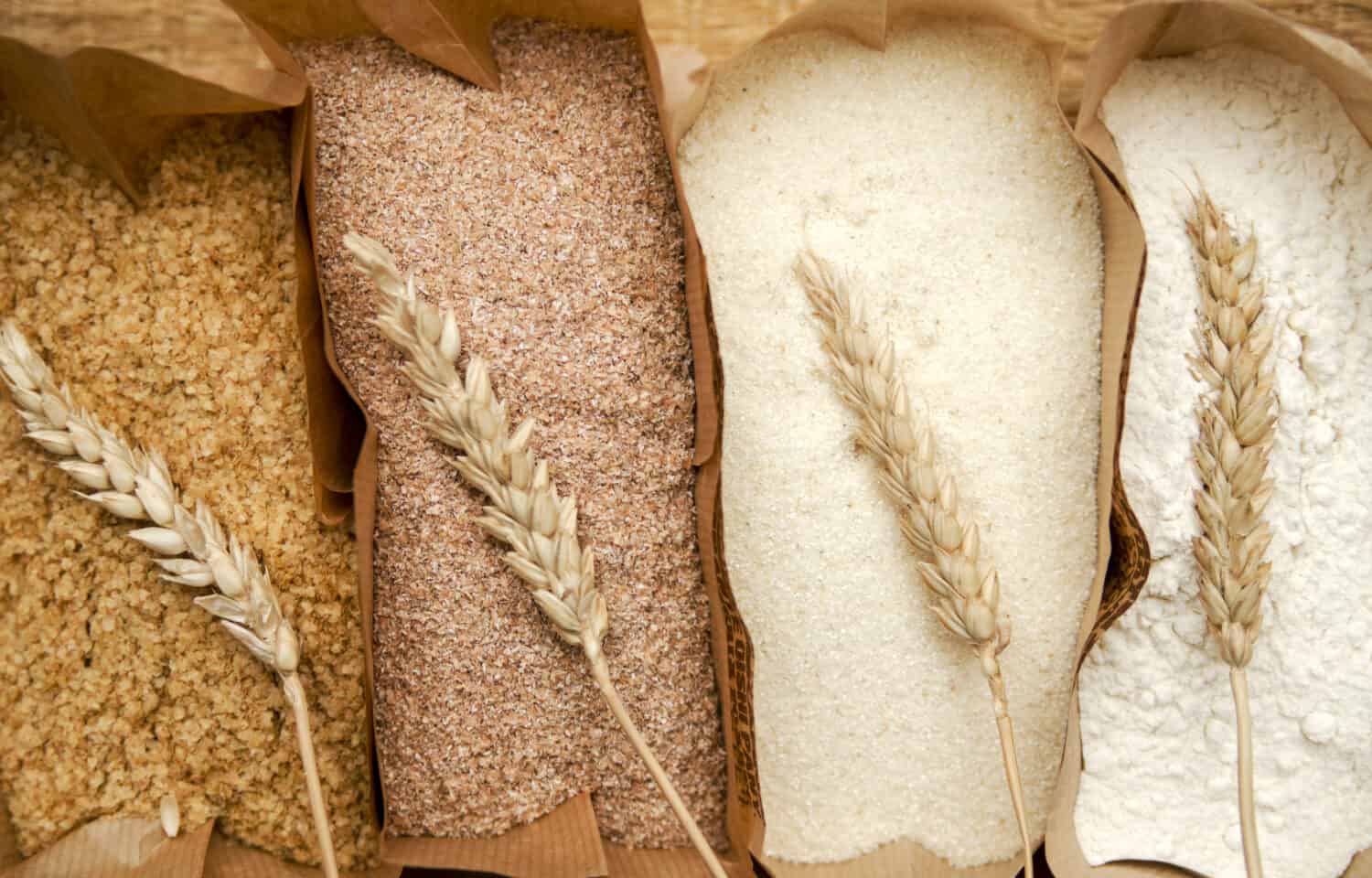 Different flour of wheat cereal in bakery bags.Texture of four wheat in mill:milled wheat sprouts, wheat bran,semolina flour,durum.Top view