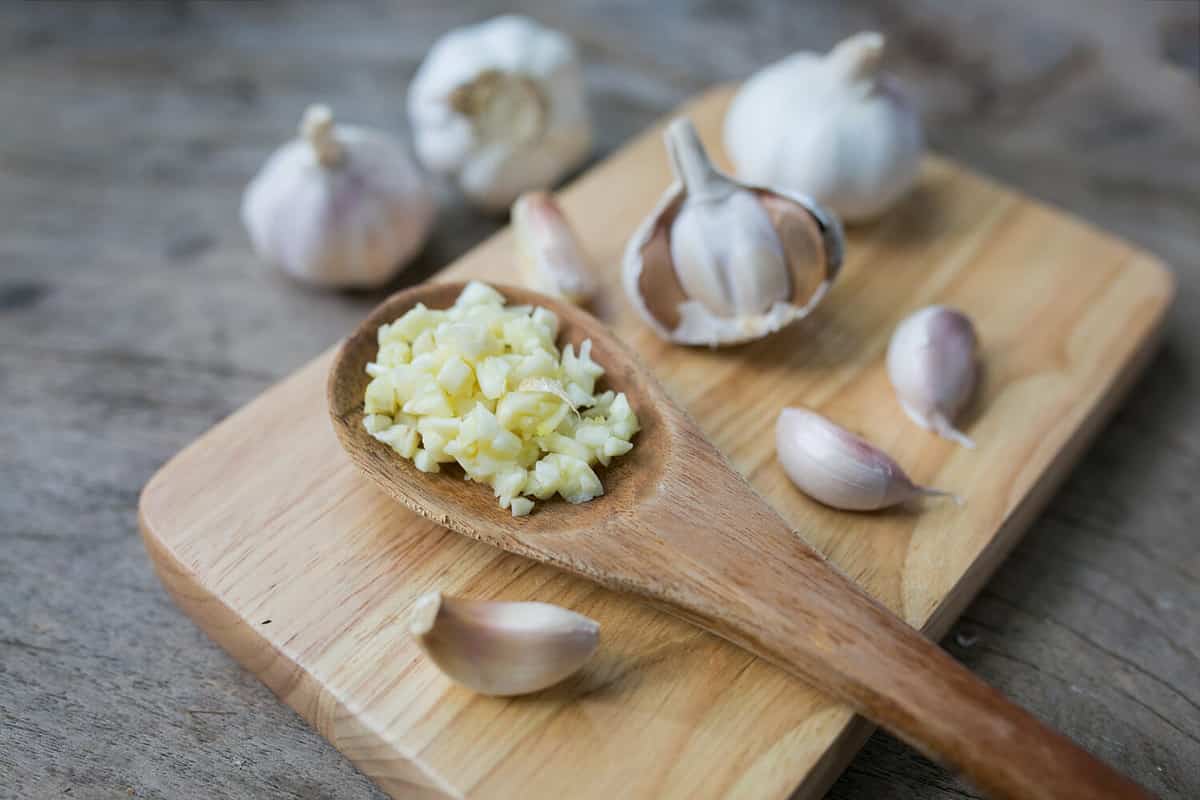 garlic for cooking