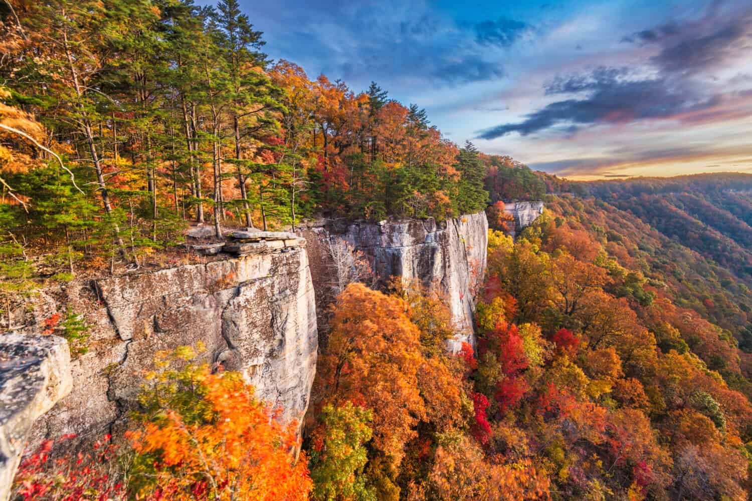 New River Gorge, West Virginia, USA autumn morning landscape at the Endless Wall.