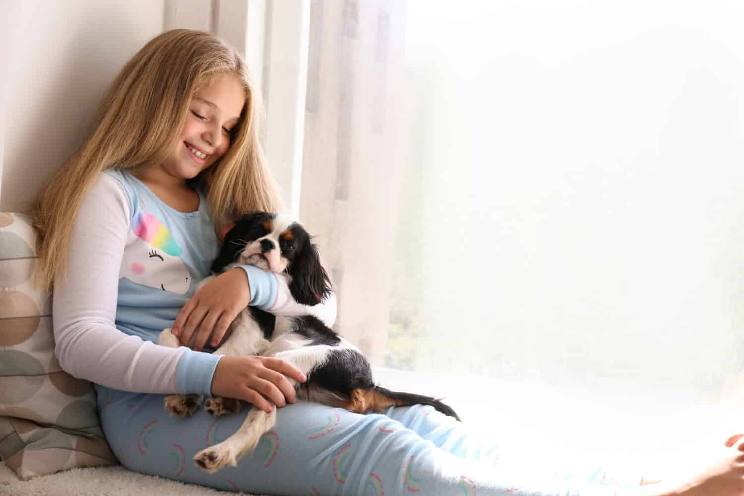 Portrait of little girl with long blonde straight hair playing with black and white Cavalier King Charles Spaniel puppy at home on windowsill. Child with her pet friend. Close up, copy space.