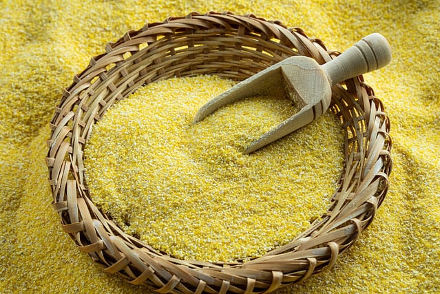 Corn flour or corn meal, a healthy powder used to make polenta and tortillas.