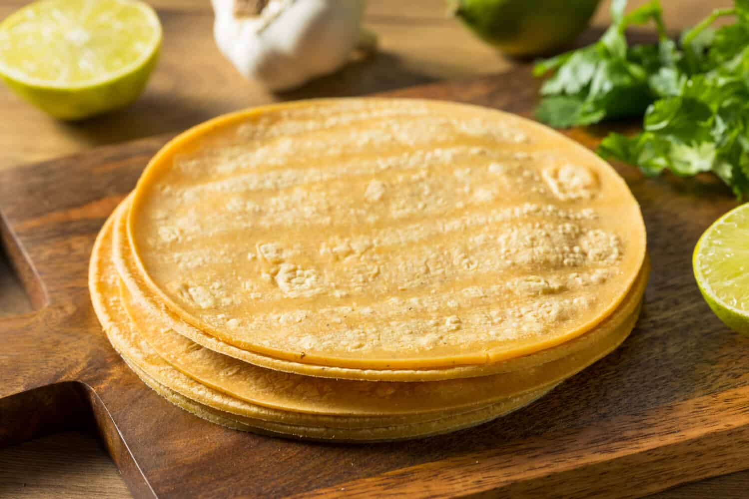 Fresh Homemade Corn Tortillas Ready to Cook