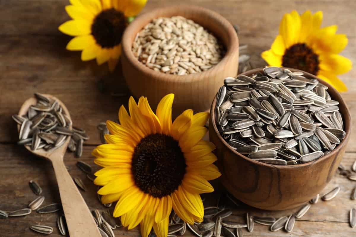 Organic sunflower seeds and flowers on wooden table