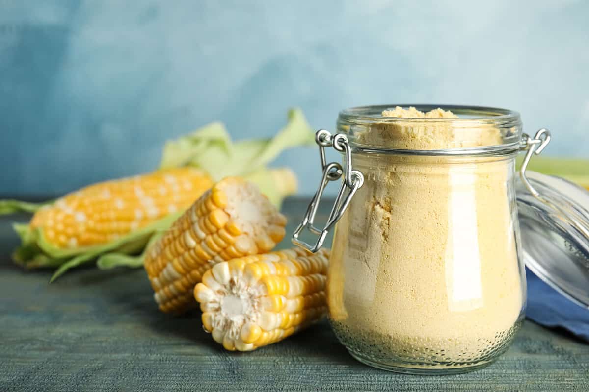 Corn flour in glass jar and fresh cobs on blue wooden table