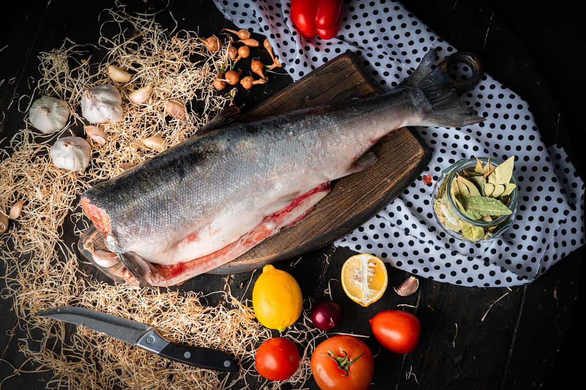 Raw headless coho salmon with lemons and vegetables