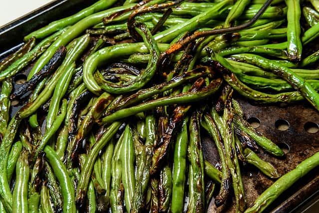 Roasted char-grilled green beans cooling in oven pan