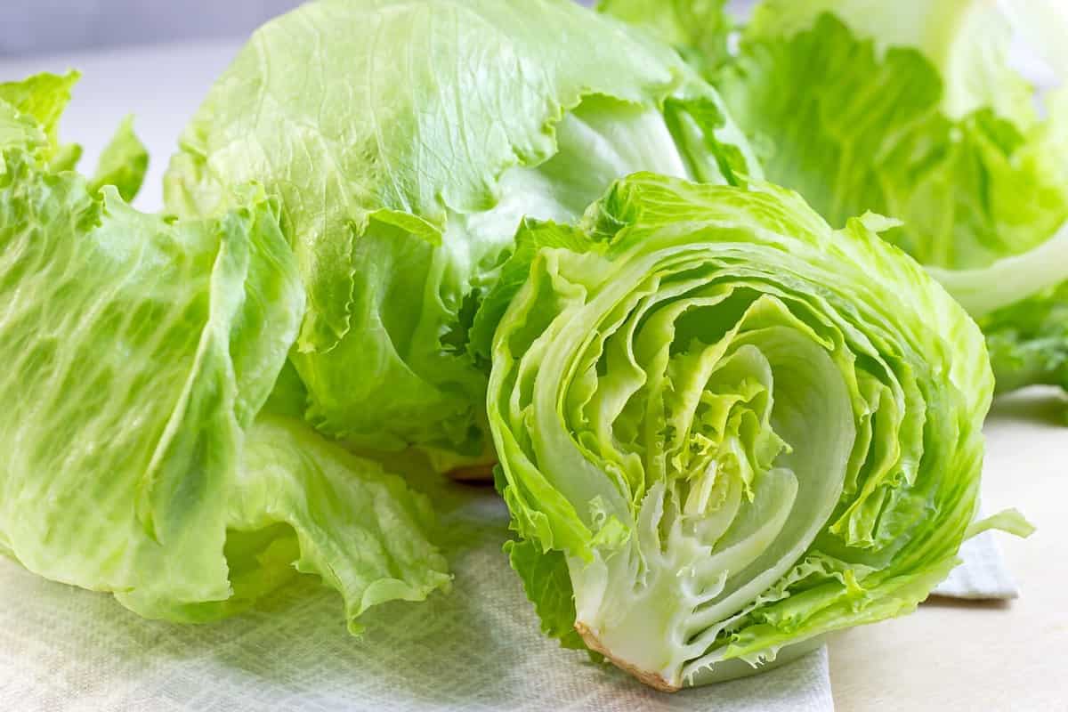 Fresh green iceberg lettuce salad leaves cut on light background on the table in the kitchen