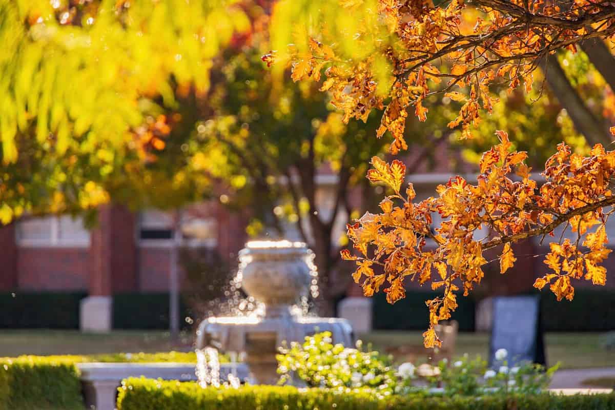 Beautiful fall color view of the campus of Univeristy of Oklahoma at Norman, Oklahoma