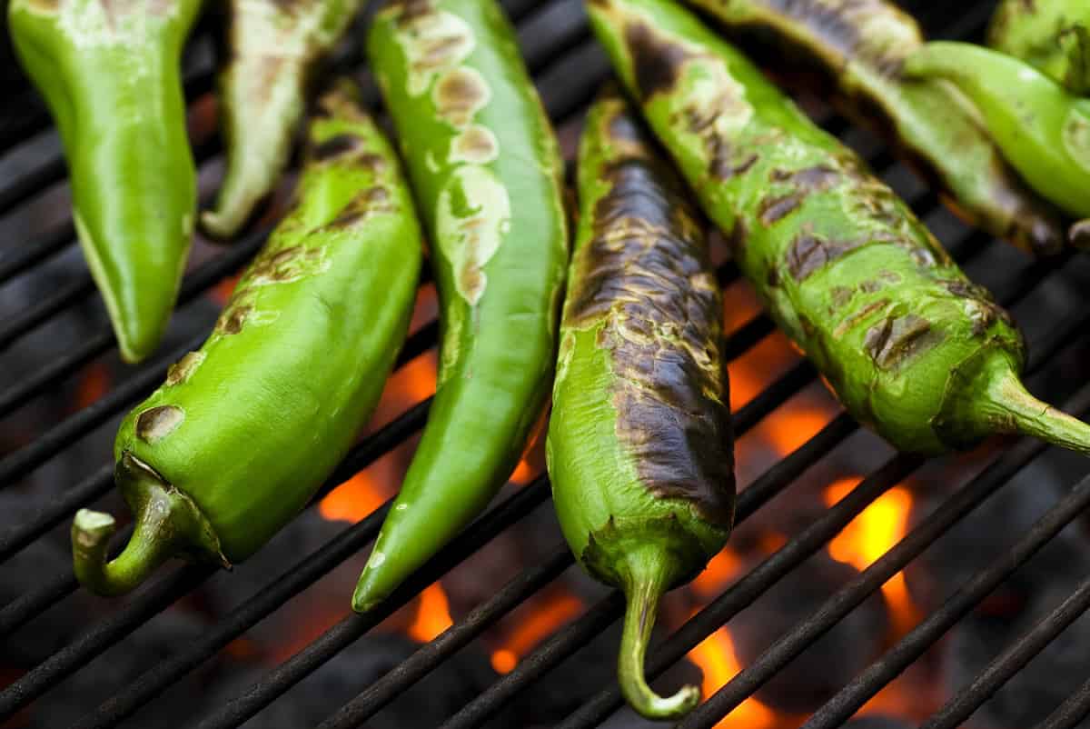 Fresh anaheim chili peppers roasting over a charcoal grill