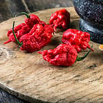 very strongly hot pepper Carolina Reaper or HP22B