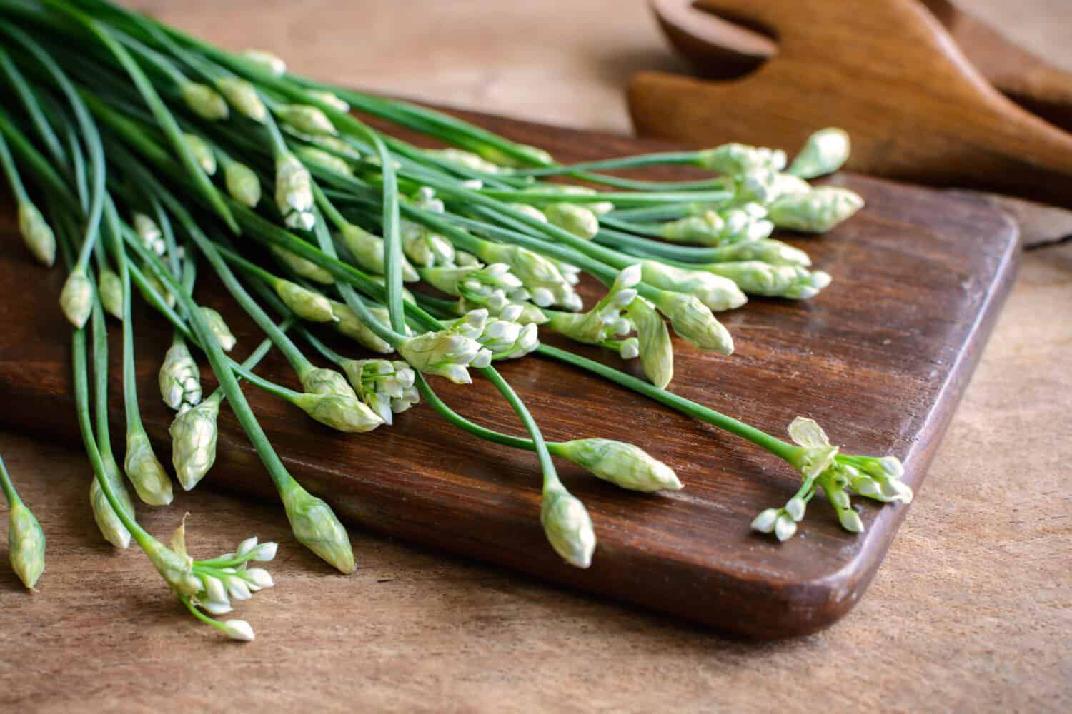 Garlic chives or Allium tuberosum on wooden table background