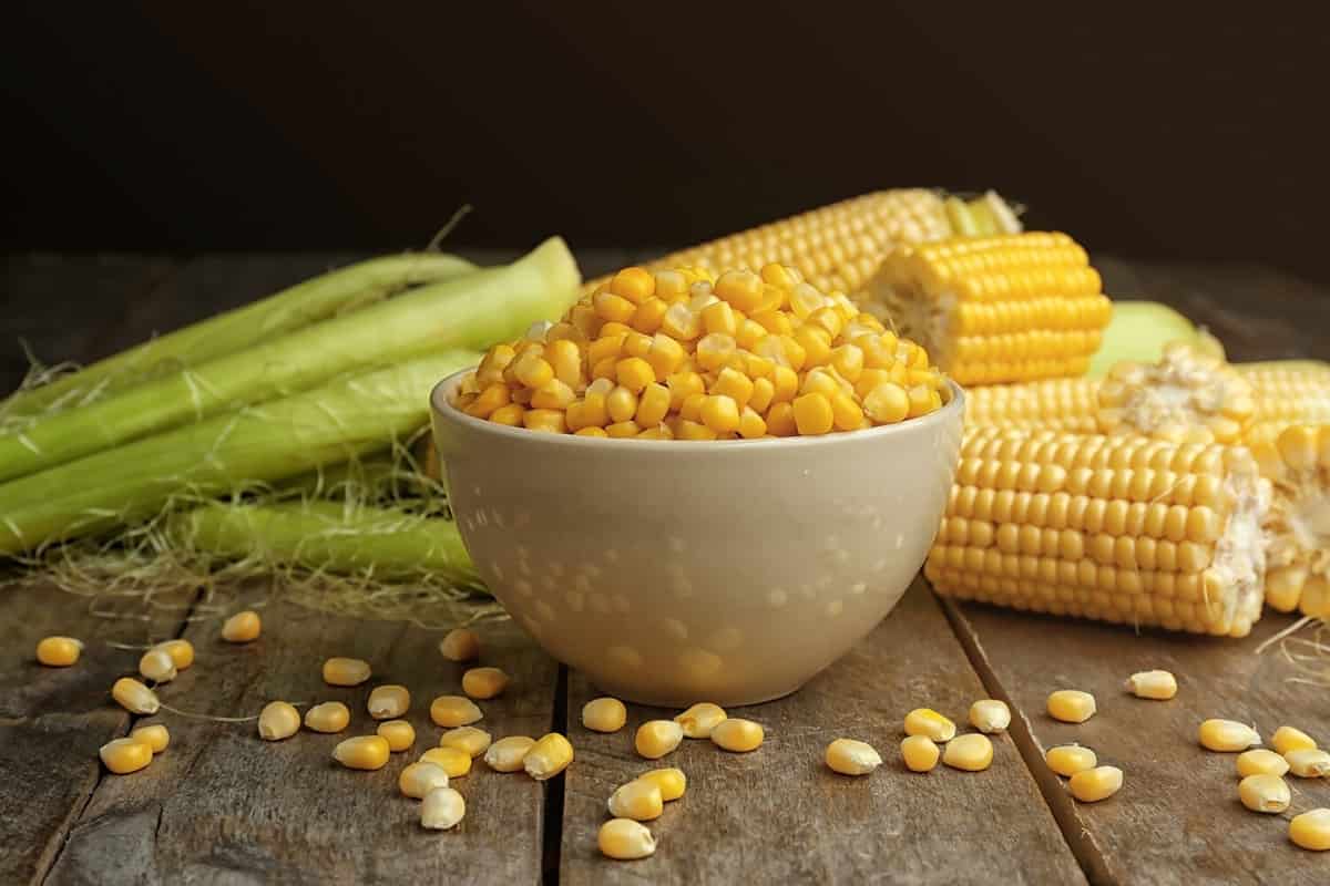 Bowl with corn seeds and ripe corn cobs on wooden table