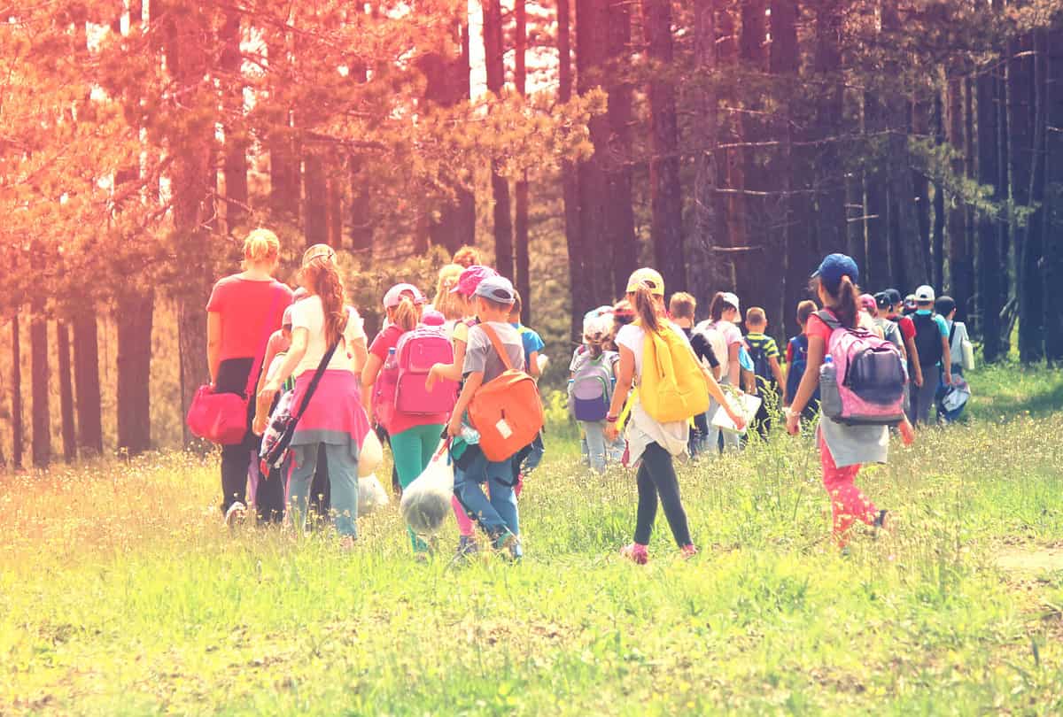 Kids in the nature strolling