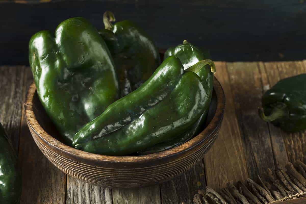 Raw Green Organic Poblano Peppers Ready to Cook