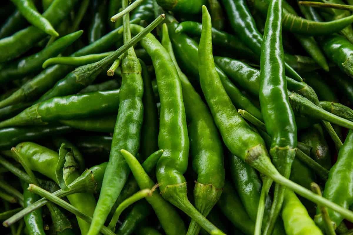Green pepper or chili from the farm, Close up or macro fresh beautiful Green peppers on the market texture and background, a lot of chili on basket for trader and business and establishment