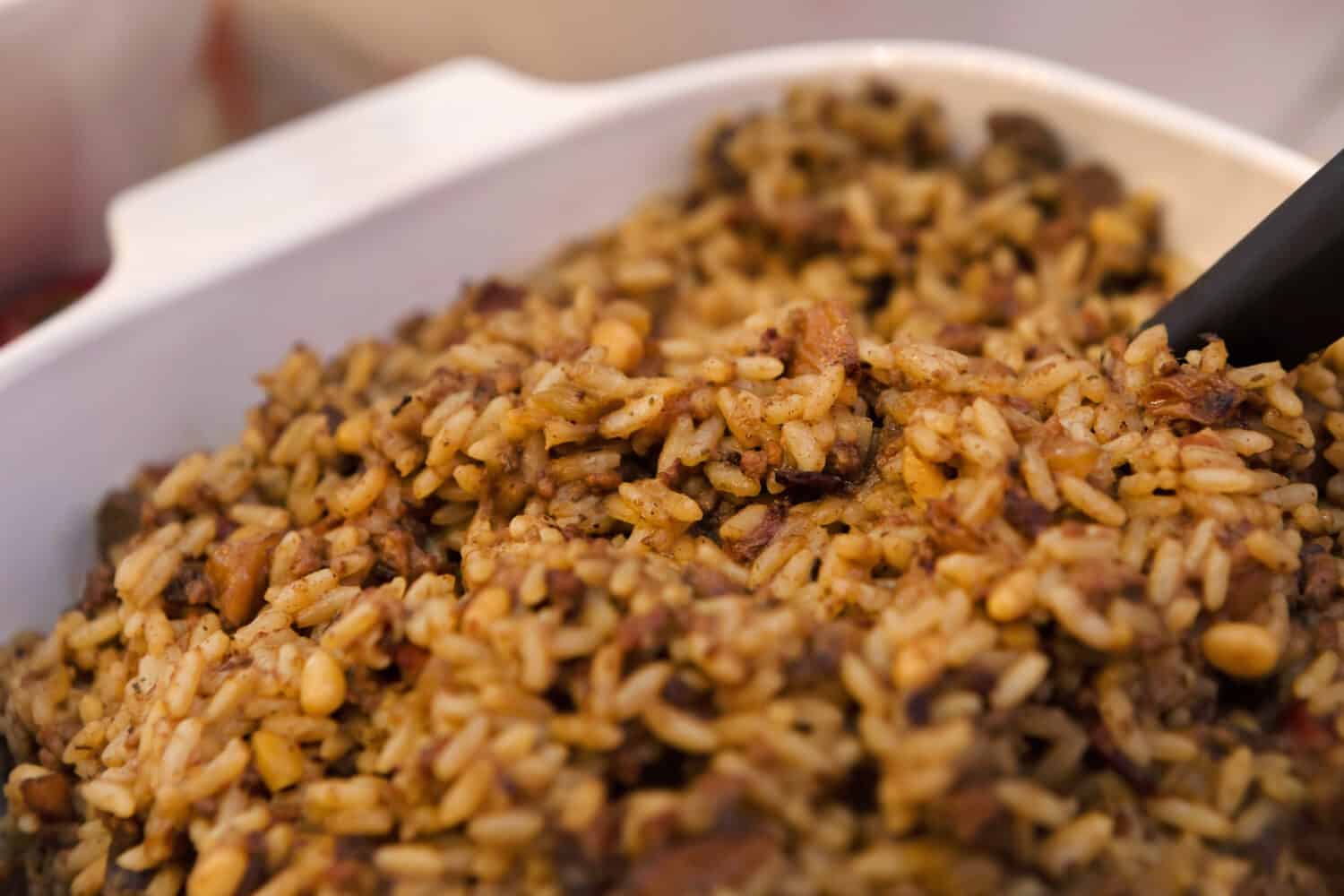 Close Up of Delicious Wild Rice Dish
