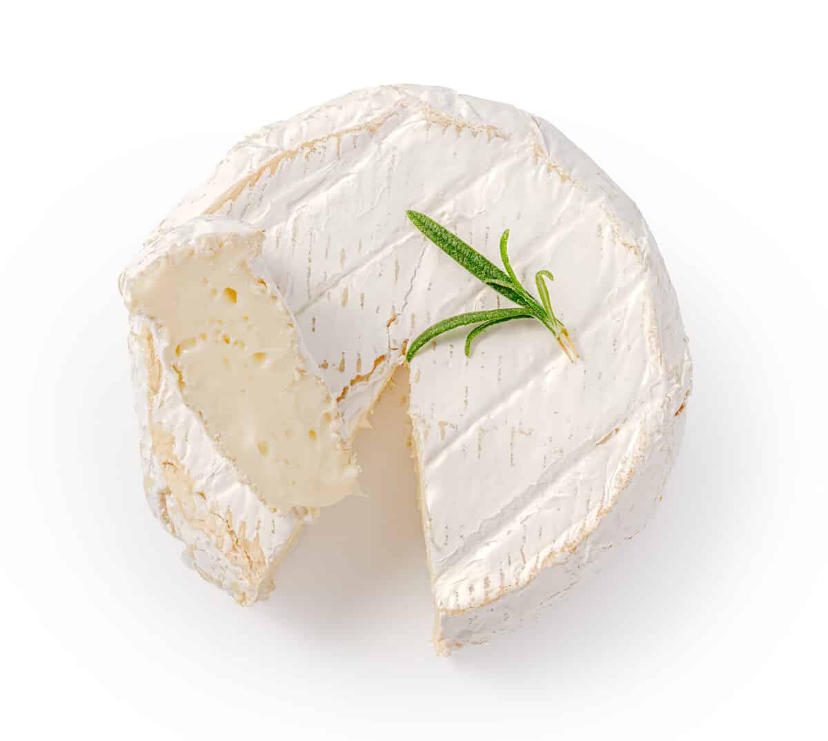 Fresh camembert cheese