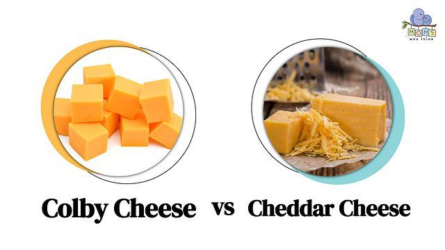 Colby Cheese vs Cheddar Cheese Dfiferences