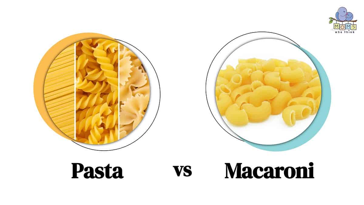 Differences Between Pasta and Macaroni