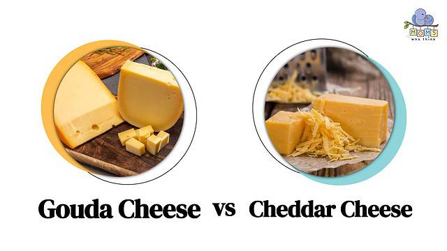 Gouda Cheese vs Cheddar Cheese Differences