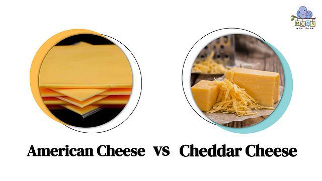 American Cheese vs Cheddar Cheese Comparison