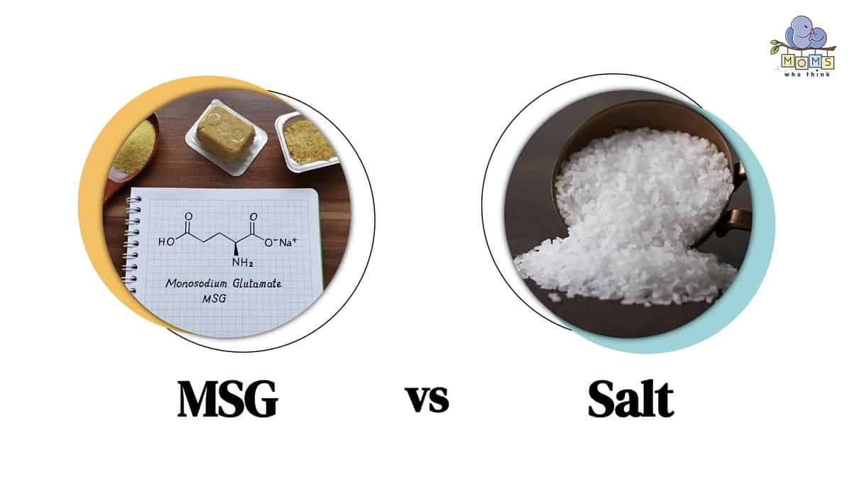 msg vs salt